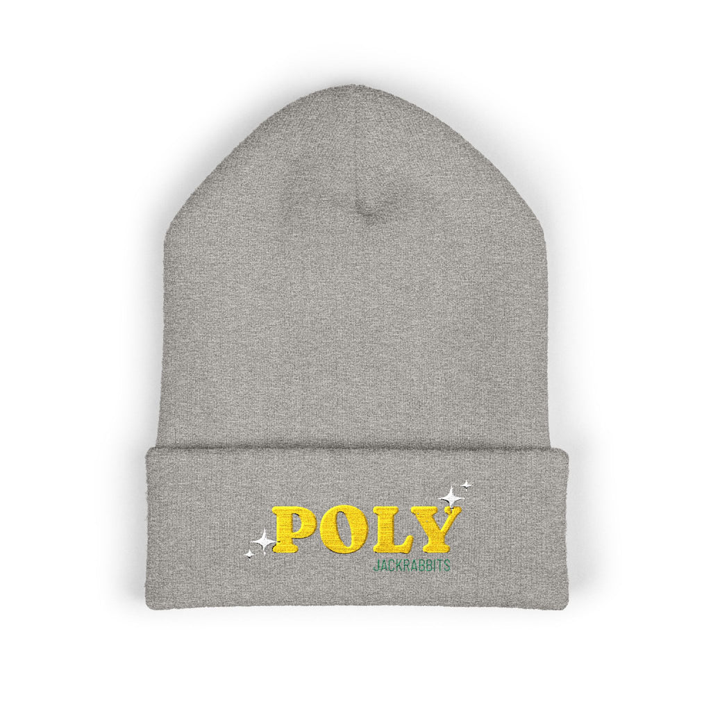 Poly Star Embroidered Cuffed Beanie