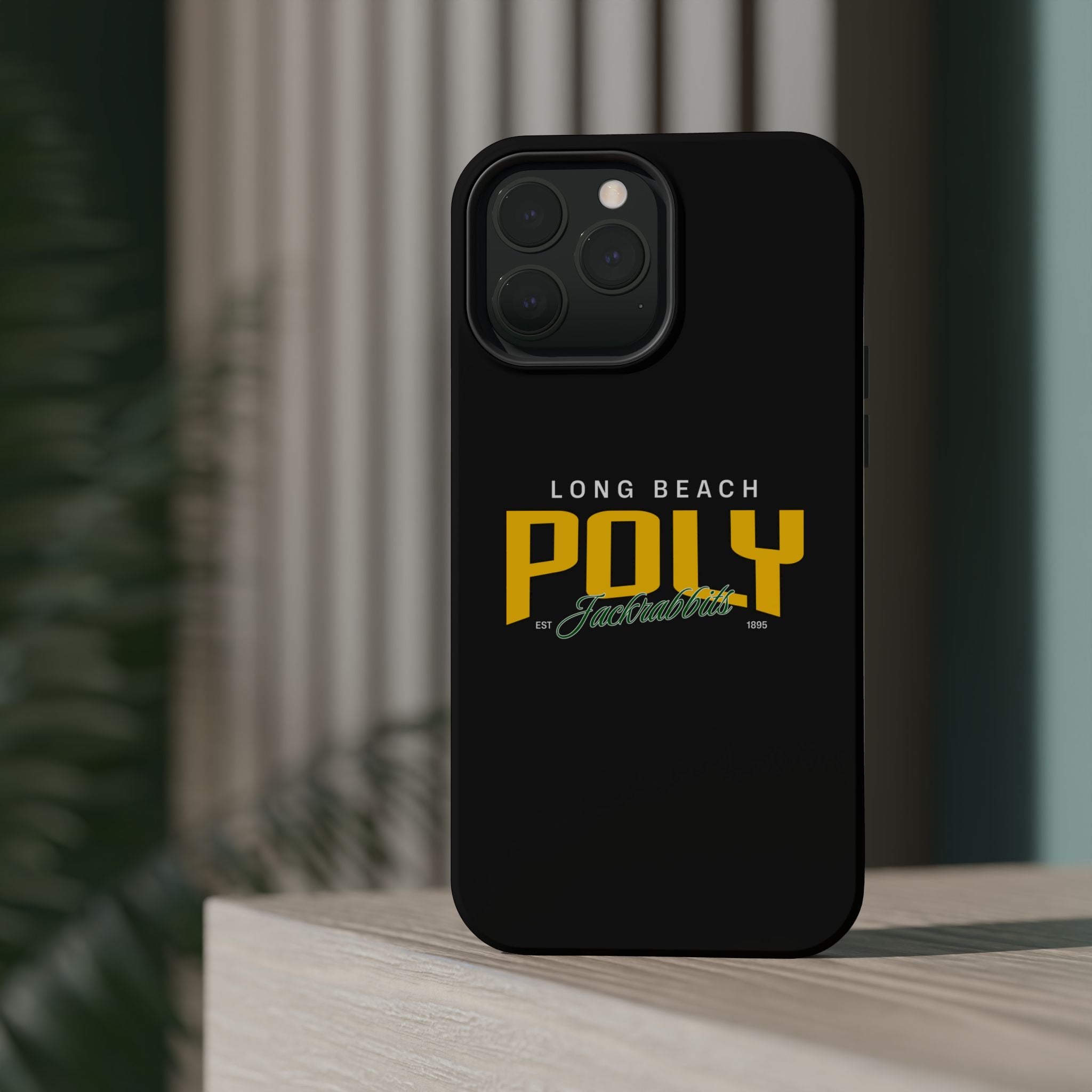 Long Beach Poly Apple iPhone Case