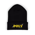 Poly Star Embroidered Cuffed Beanie