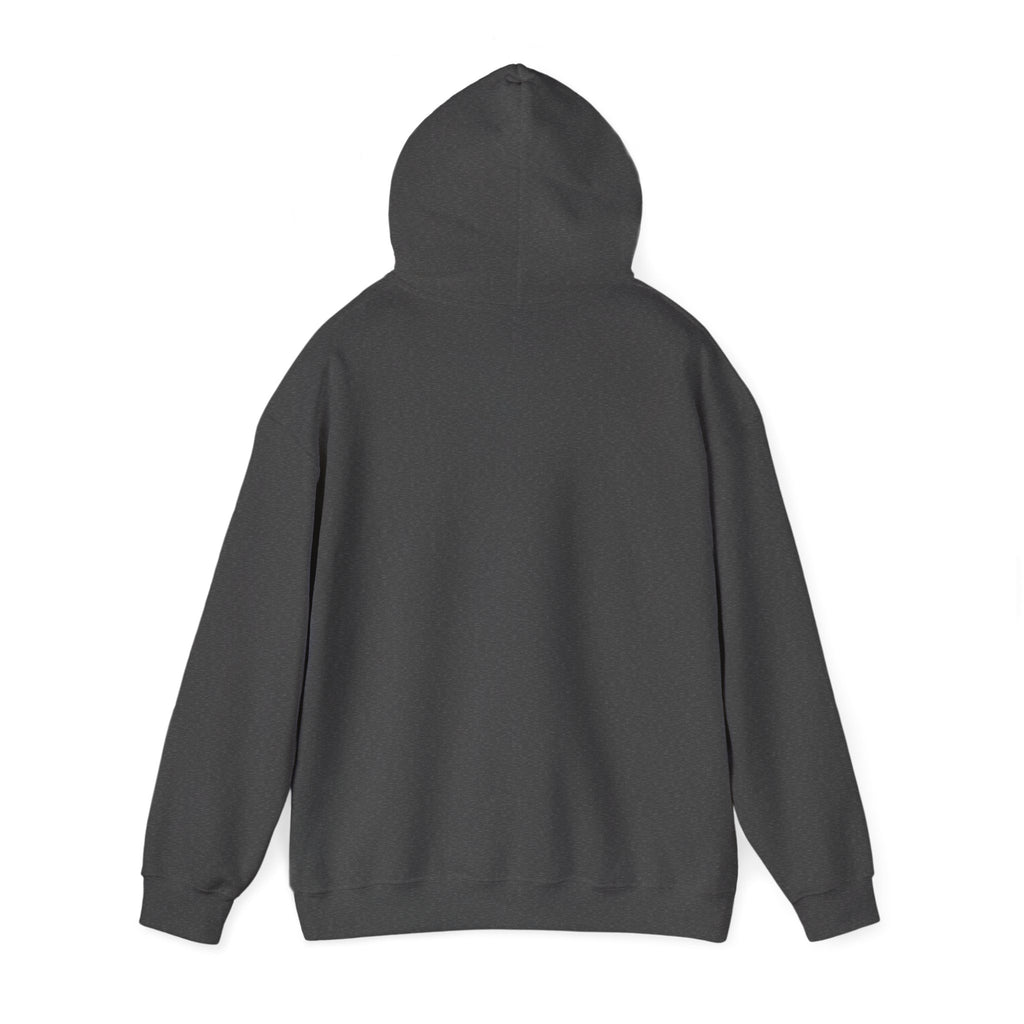 LB Poly Personalizable "Graduation Year" Sports Pullover Hoodie