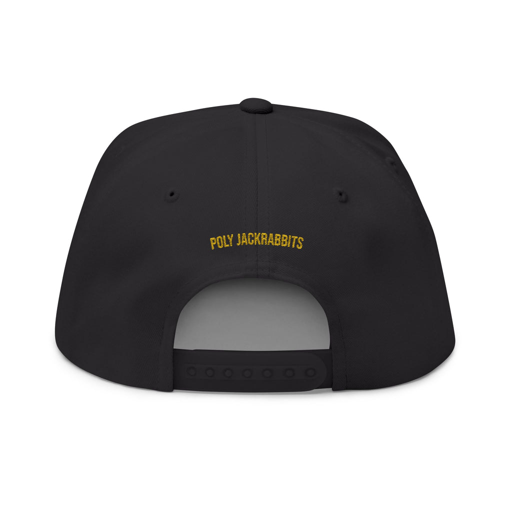 L-B Embroidery Snapback Hat