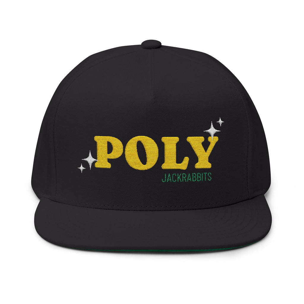 Poly Star Embroidery Snapback Hat